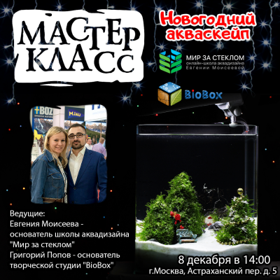 Мастер-класс "Новогодний Акваскейп" 8 декабря в EXOMENU