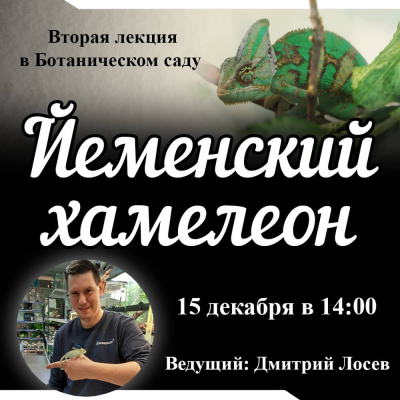 Лекция про йеменских хамелеонов в Ботаническом Саду "Аптекарский огород"