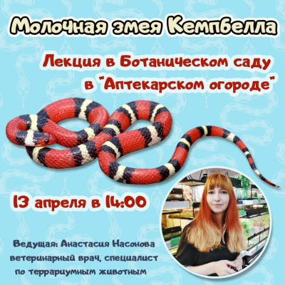 Лекция про молочных змей в Ботаническом Саду "Аптекарский Огород"