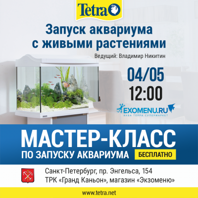 Мастер-класс TETRA в EXOMENU в ТРК Гранд Каньон.