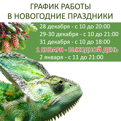 График работы EXOMENU.RU в Новогодние праздники 
