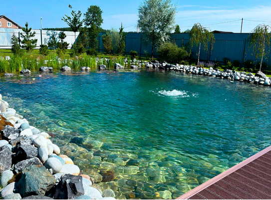 Как очистить воду в пруду своими руками: пошаговое руководство