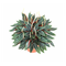 Пеперомия Каперата (Peperomia caperata) 8'