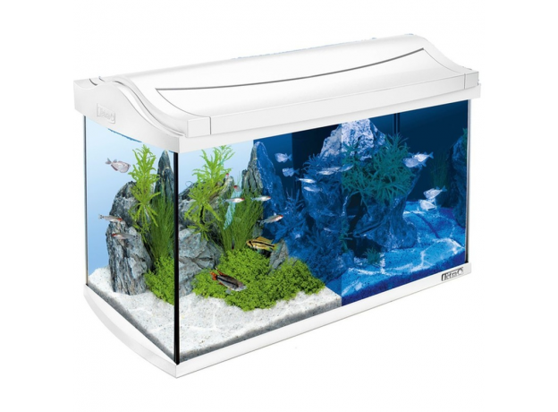 Аквариум Tetra AquaArt Tropical LED 60 л, белый