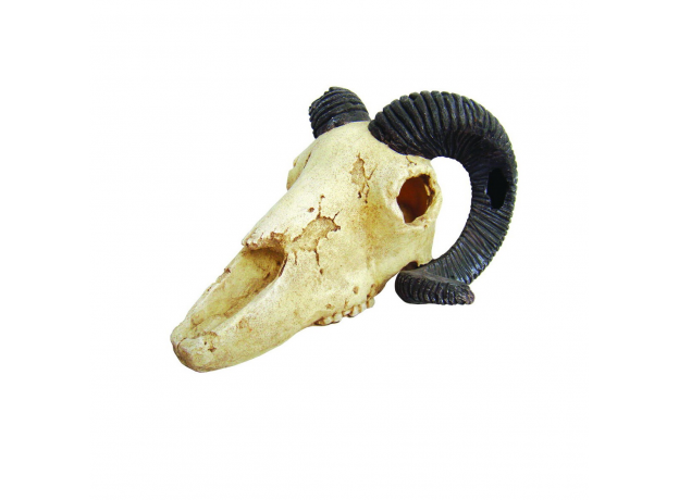 LUCKY REPTILE Декорация для террариума, череп "Skull Ram", 19.5х7х12см