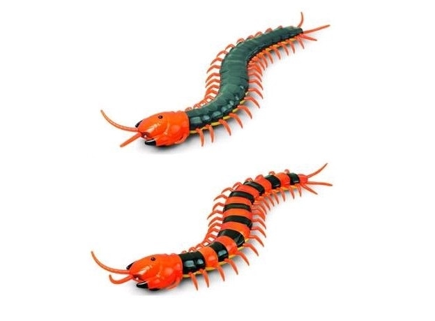 Сороконожка Scolopendra на Р/У в коробке