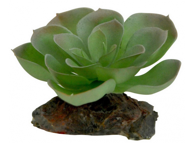 LUCKY REPTILE Декоративное растение для террариумов "Echeveria", зеленое с красным, 8см