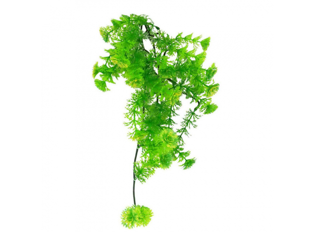 LUCKY REPTILE Декоративное растение для террариумов "Turtle Plant Horn Fern", 40см