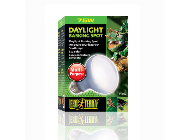 Лампа для баскинга Exo Terra Day light Basking spot R20, 75 Вт