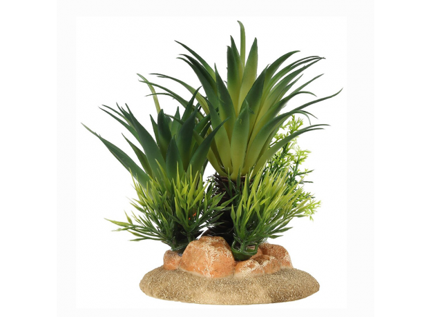 AQUA DELLA Растение для аквариумов "Sago Palm", 13.5x10x16см (Бельгия)