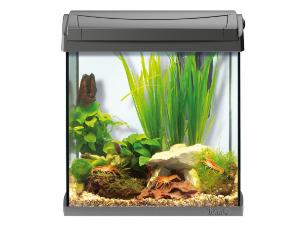 Аквариум Tetra AquaArt Discovery Line Crayfish 30 л, 8 Вт, антрацит (свет Т5)