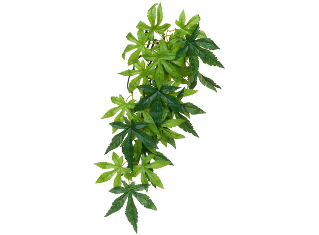 Тропическое растение Exo Terra Jungle Plants Абутилон малое, 40х25 см