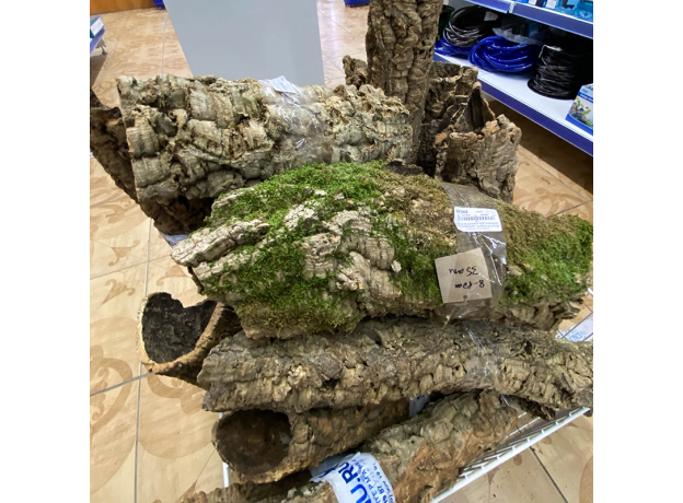 Кора в виде трубы из пробкового дерева,  d=10-15 см, длина 70-75 см.