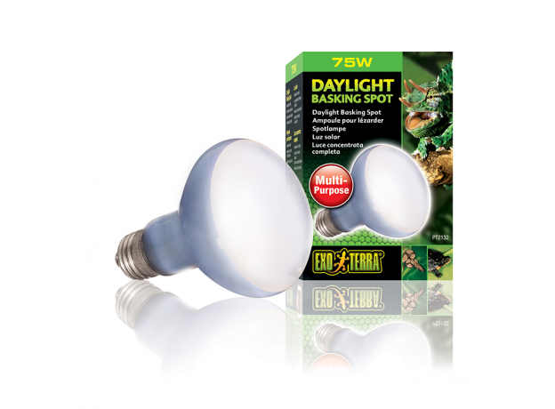 Лампа для баскинга Exo Terra Day light Basking spot R20, 75 Вт