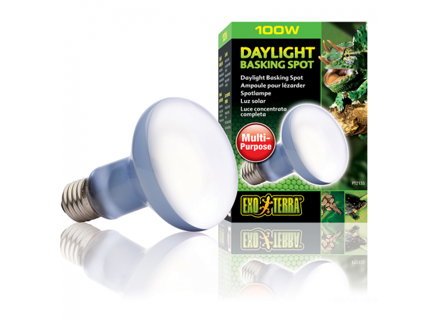 Лампа для баскинга Exo Terra Day light Basking spot R20, 100 Вт