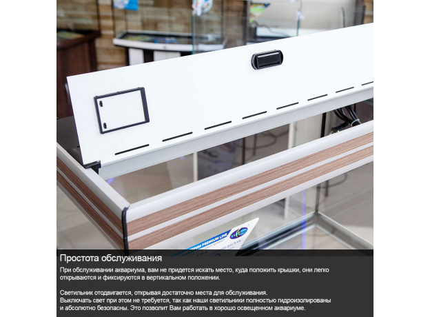 Аквариум Biodesign ALTUM PANORAMIC 135, 135 л, без светильника, 81х41х53 см