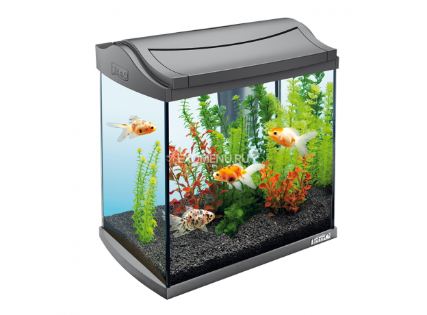 !Аквариум Tetra AquaArt Goldfish 30 л, антрацит