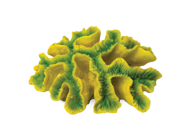 Коралл искусственный Laguna Симфиллия зелено-желтая, 170х130х65 мм