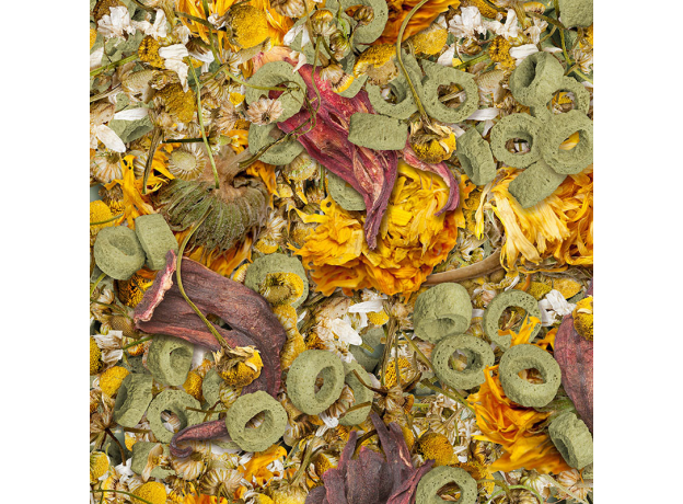 Корм для рептилий Sera Flowers’n’Loops 1000 мл (140 г)