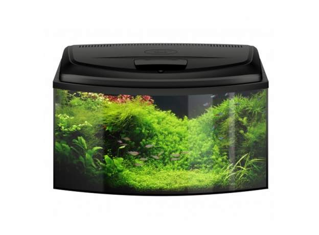 Аквариум AQUAEL AQUA4 FAMILY 80 фигурный 102 л (80х37х49 см) фильтр Fan-2, нагр.FIX 100 Вт, светодиодный модуль Retro Fit Leddy Tube SUNNY 16 W/6500 К