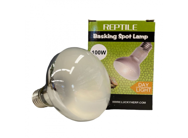 Лампа "Lucky herp" Basking Spot Lamp Normal 100 Вт, R80