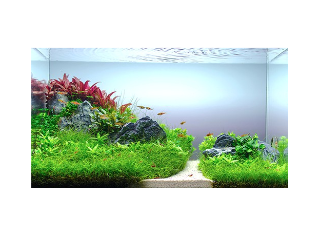 Светильник Biodesign LED SCAPE MAXI LIGHT, для РИФ 300/Панорама 280, 115 см, встраиваемый