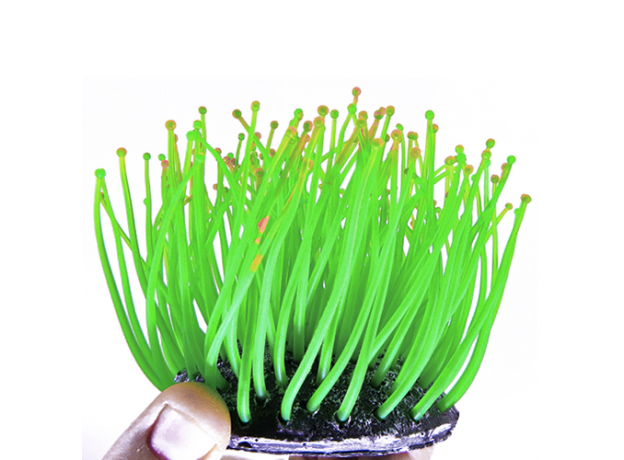 Декор из силикона Коралл зеленый мягкий, 7.5х7.5х10 см