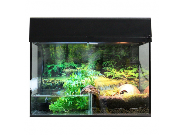 Террариум LUCKY REPTILE Стартовый комплект для Амфибий, черный, 50х28х40 см