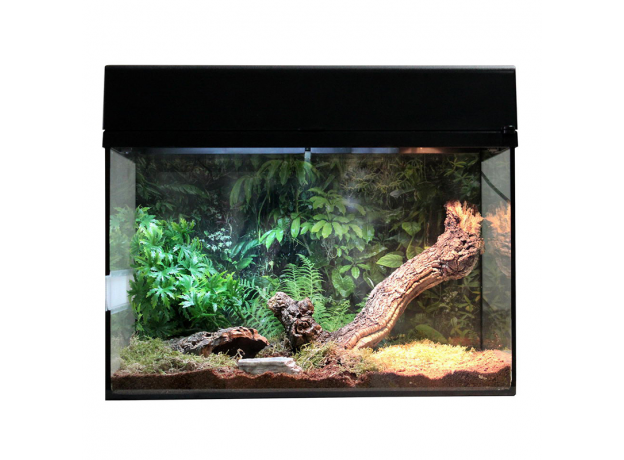 !Террариум LUCKY REPTILE Стартовый комплект для Пауков и Скорпионов, черный, 50х28х40 см