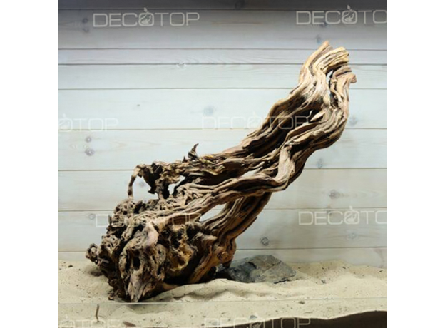DECOTOP Antigua XXXL - Натуральная коряга 20-70 см для аквариумов от 60 л (цена за штуку)