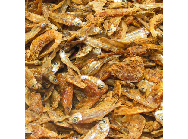 Корм JBL Energil, 2,5 л (500 г) - Основной, для болотных и водных черепах