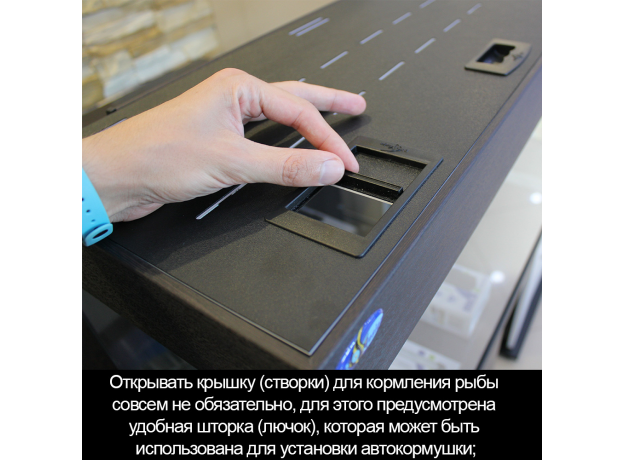 Аквариум Biodesign START-UP 85, венге, 85 л, 70х30х50 см, свет-к LED 11 Вт, шторка д/кормления