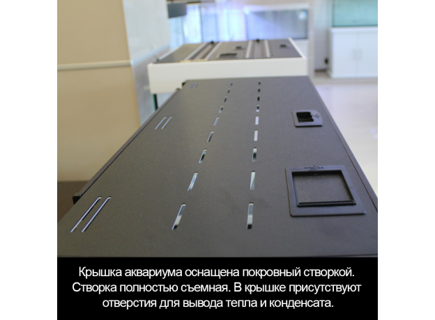 Аквариум Biodesign START-UP 85, венге, 85 л, 70х30х50 см, свет-к LED 11 Вт, шторка д/кормления