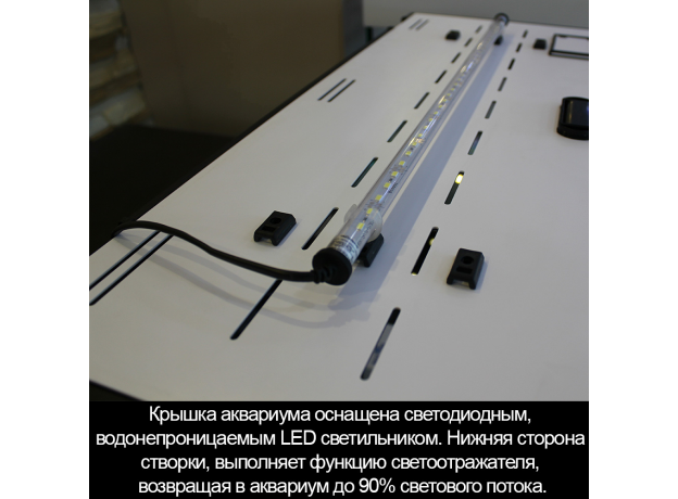 Аквариум Biodesign START-UP 85, венге, 85 л, 70х30х50 см, свет-к LED 11 Вт, шторка д/кормления