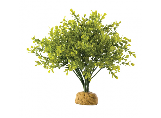 Растение пластиковое Exo Terra Boxwood Bush