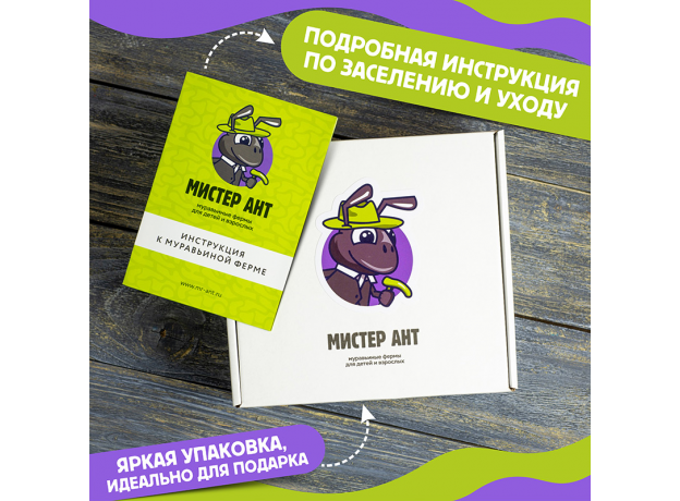 Муравьиная ферма с муравьями Smart КОСМОС