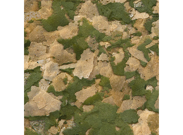 Корм для рыб основной в хлопьях SERA VIPAN NATURE 10000 мл, 2 кг (крупные хлопья, ведро)