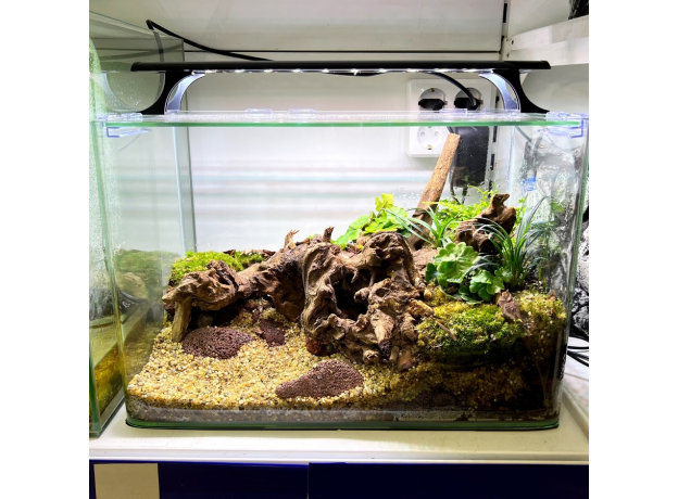 Террариумный комплект "Лимасол"