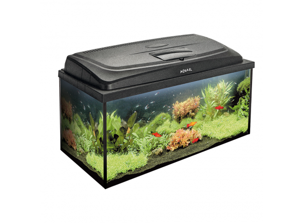 Аквариум AQUAEL AQUA4 FAMILY 80 DAY&NIGHT прямой 112 л, в комплектации: FAN 1, FIX 2 50 Вт, LT 14Вт Sunny D&N 2.0, подложка NEW (вместо113491)