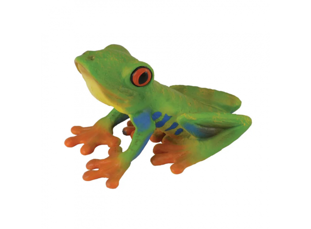 Древесная лягушка