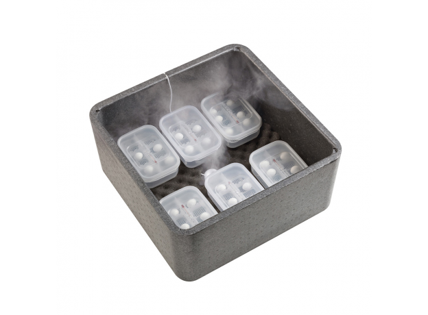 Контейнер Exo Terra Incubation Box для инкубации яиц
