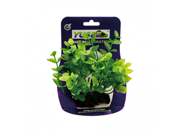 Искусственное растение 12 см в картонной коробке (YS-92106)