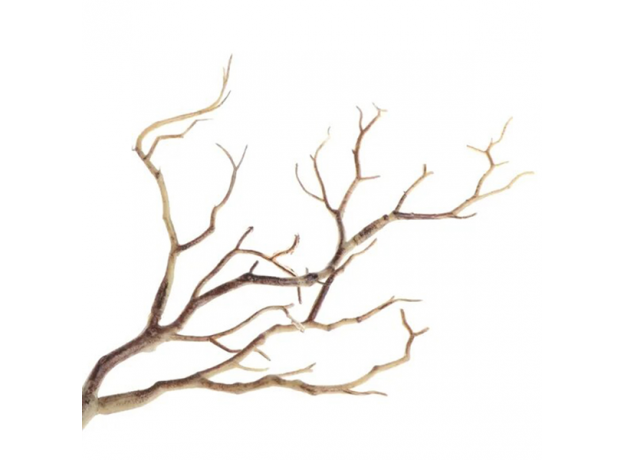 Коряга UDeco Thai Tree XXS 0,01-0,02 кг "Тайское дерево" д/аквариума и террариума