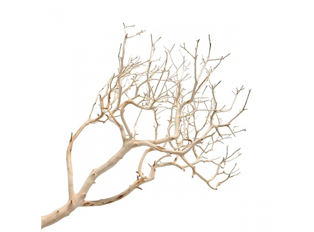 Коряга UDeco Thai Tree XXS 0,01-0,02 кг "Тайское дерево" д/аквариума и террариума