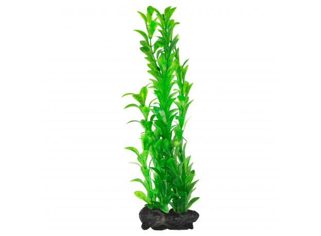 Растение аквариумное Tetra Hygrophila L с утяжелителем, 30 см