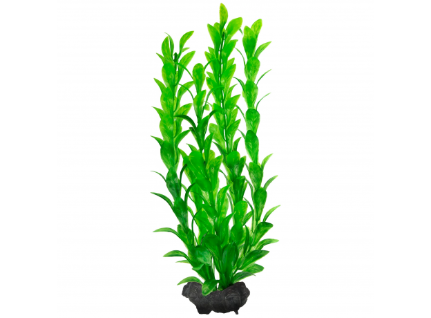 Растение аквариумное Tetra Hygrophila M с утяжелителем, 23 см