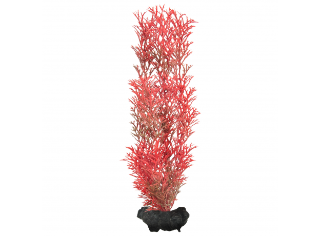 Растение аквариумное Tetra Red Foxtail M с утяжелителем, 23 см