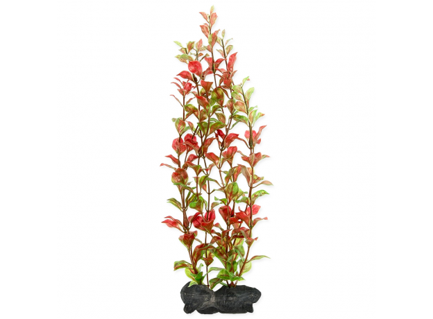 Растение аквариумное Tetra Red Ludvigia L с утяжелителем, 30 см