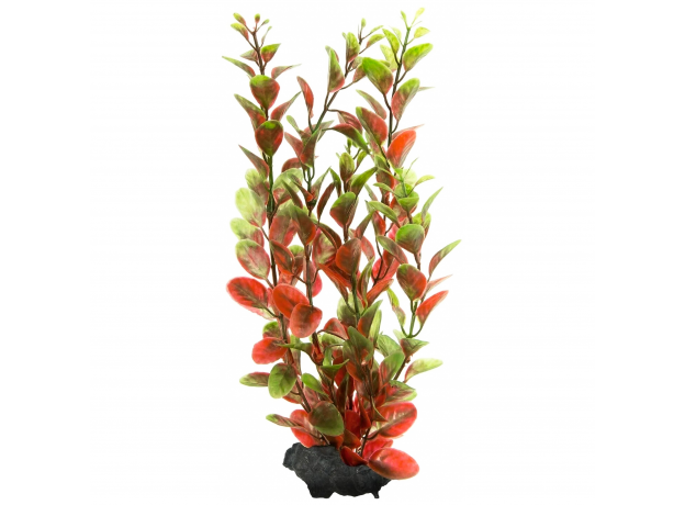 Растение аквариумное Tetra Red Ludvigia M с утяжелителем, 23 см