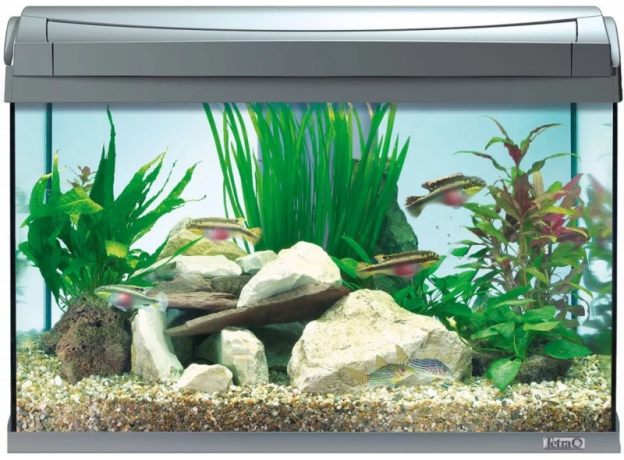 !Аквариум Tetra AquaArt Tropical 60 л, антрацит